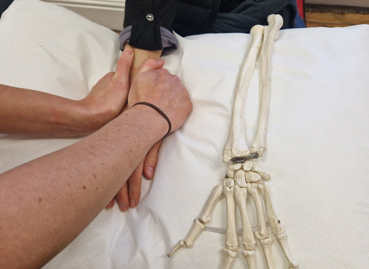 Wrist and hand 11 Jan 2025